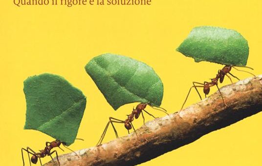 L’Italia non ha voluto assumere come bussola l’austerità
